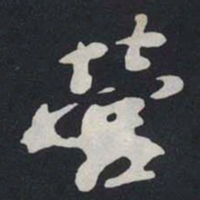 苏轼营书法图片