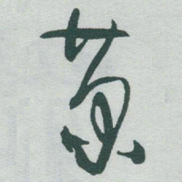 于右任菊书法图片