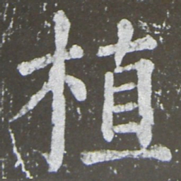 颜真卿植书法图片
