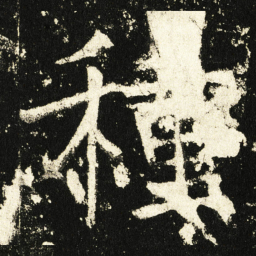 褚遂良种书法图片