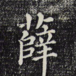 薛书法图片
