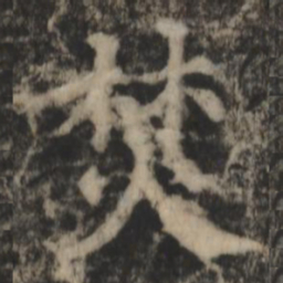 郑文宝焚书法图片