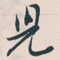 白蕉兒书法图片