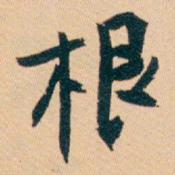 白蕉根书法图片