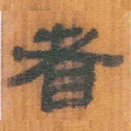 北大汉简者书法图片