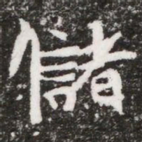 儲书法图片