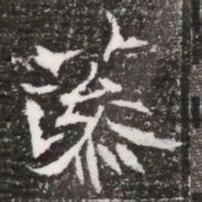 藻书法图片