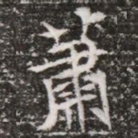 蕭书法图片