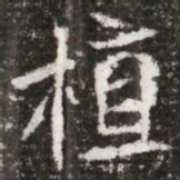 植书法图片