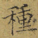文征明种书法图片