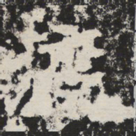 渡书法图片