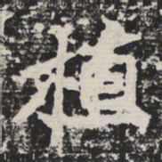 植书法图片