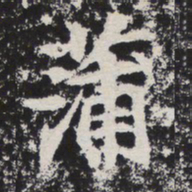 蒲书法图片