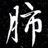 赵孟頫肺书法图片