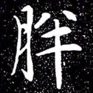 赵孟頫胖书法图片