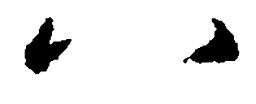 王羲之八书法图片