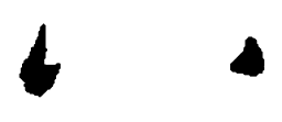 王羲之八书法图片