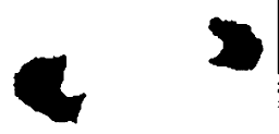 王羲之八书法图片