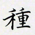 王臣林种书法图片