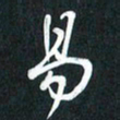 袁志坚易书法图片