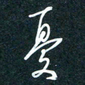 陶浪忧书法图片