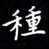杜硕宇种书法图片
