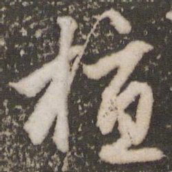赵孟頫植书法图片