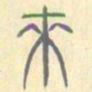 安国来书法图片