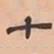 文彭十书法图片