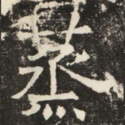 蒸书法图片