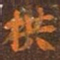 拱书法图片