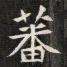 蕃书法图片