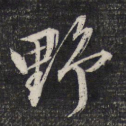 文征明野书法图片