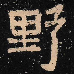 魏碑野书法图片