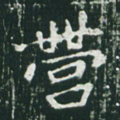 魏碑营书法图片