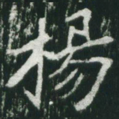 魏碑杨书法图片