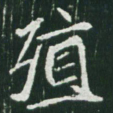 魏碑殖书法图片