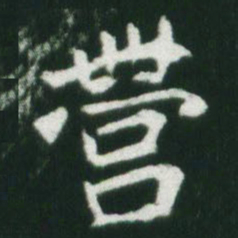 魏碑营书法图片