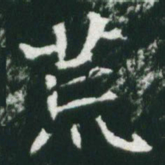 魏碑荒书法图片