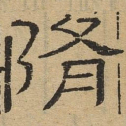 隋书法图片
