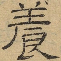 养书法图片