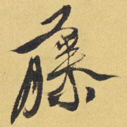 徐渭藤书法图片