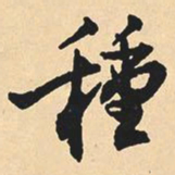 沈尹默种书法图片