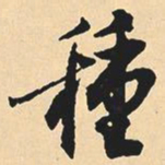 沈尹默种书法图片