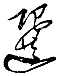 毛泽东选书法图片