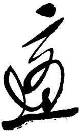 毛泽东适书法图片