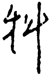毛泽东科书法图片