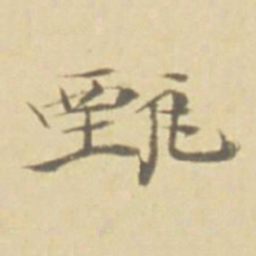 徐渭甄书法图片