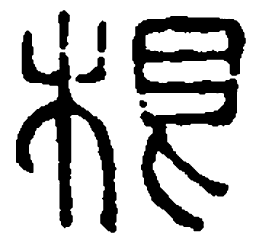 篆刻根书法图片