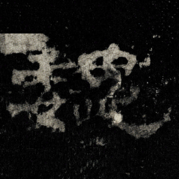 魏书法图片